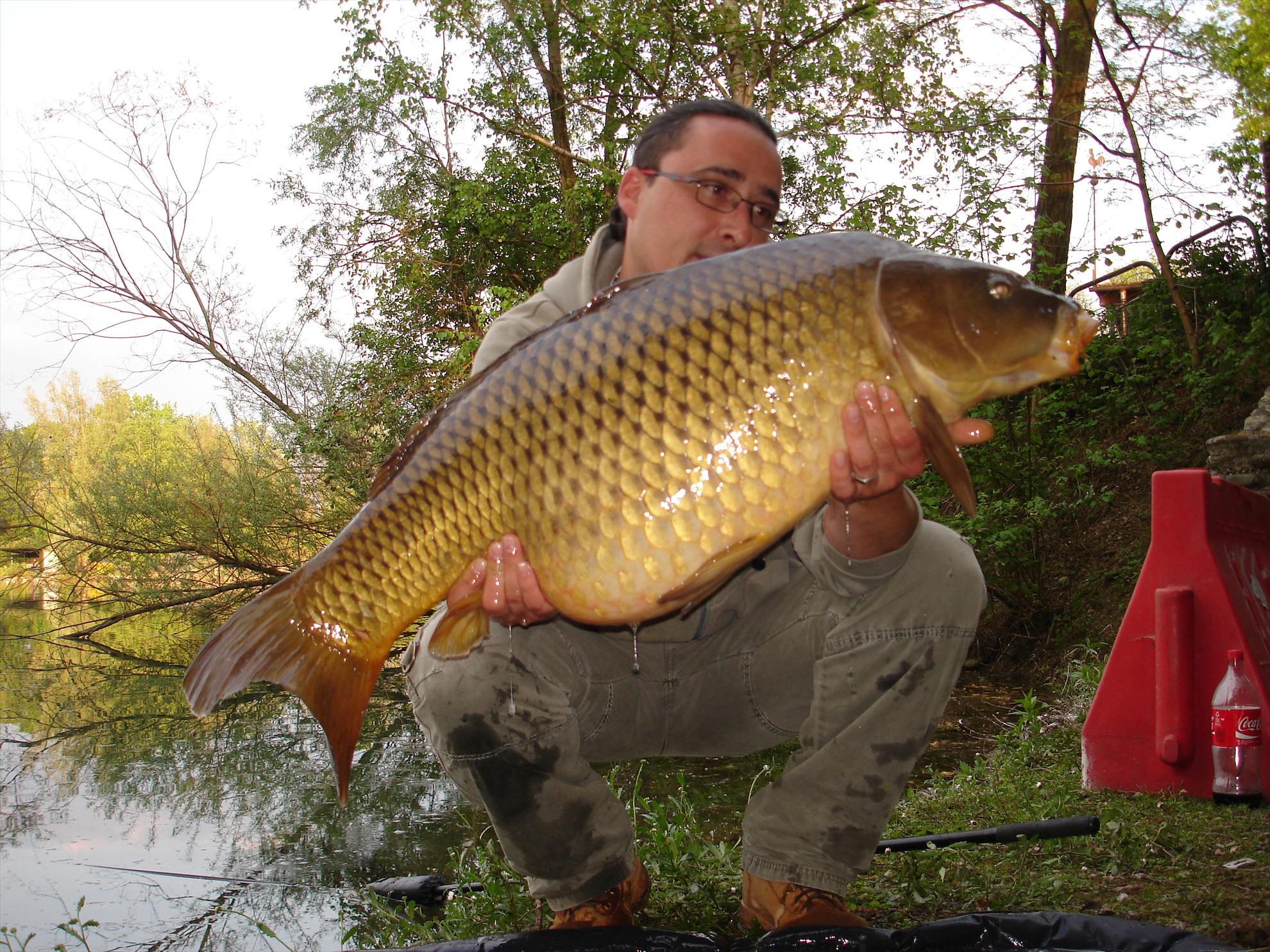 THE BIGS OF 2011 - p1000087.JPG